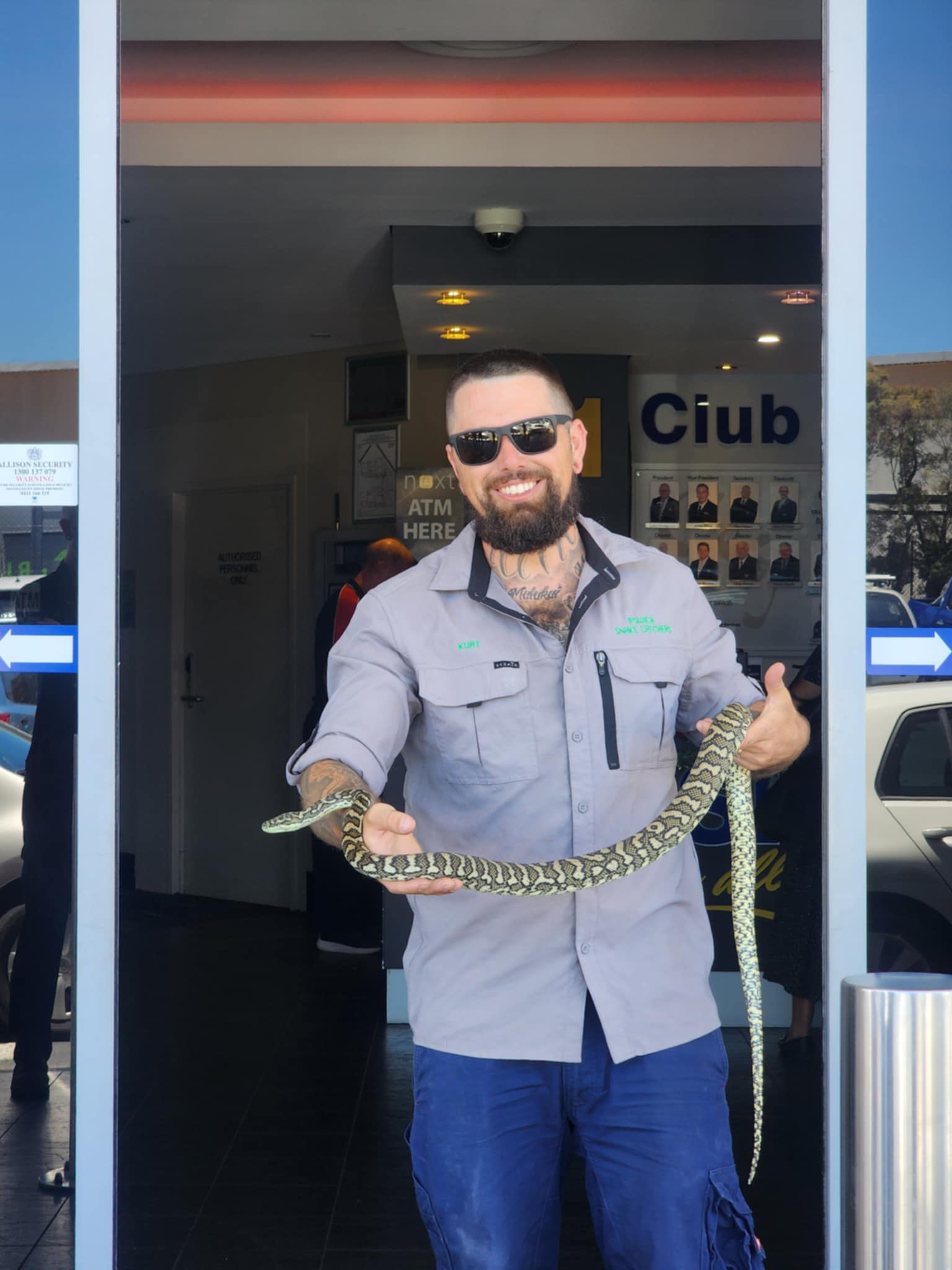ipswich snake catchers 24/7 removing a coastal carpet python from a local business